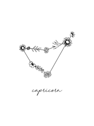 capricorn zodiac wildflower constellation