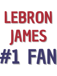 lebron james1 fan