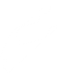 miami international autodrome outline