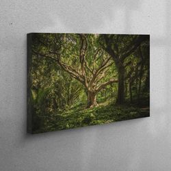 3d canvas, canvas gift, canvas decor, landscape artwork, green wall decor, view canvas art, nature landscape canvas, nat