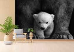 baby polar bear, trendy wall painting, bear wall print, animal photo wall poster, animal wild mural, polar bear wall pap