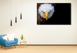 eagle canvas wall art print, eagle print art, eagle canvas print, japanese wall art, asian wall art, animal canvas wall