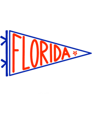 florida blue and orange flag banner pennant