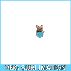 Cute Pet Dog PNG, French Bulldog PNG, Bulldog Mascot PNG