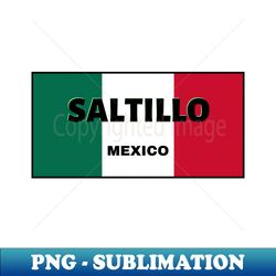 saltillo city in mexican flag colors - artistic sublimation digital file - capture imagination with every detail