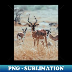 african impalas - creative sublimation png download - fashionable and fearless