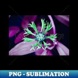 green flower inverted photograph design - vintage sublimation png download - unleash your creativity