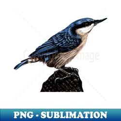 eurasian nuthatch - elegant sublimation png download - unleash your creativity
