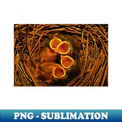baby bluebirds - modern sublimation png file - fashionable and fearless