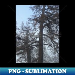 shadowed trees photography my - decorative sublimation png file - capture imagination with every detail