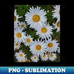 white flower photography my - high-resolution png sublimation file - perfect for creative projects