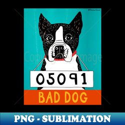 bad dog boston terrier - stephen huneck funny dog - png transparent digital download file for sublimation - perfect for sublimation art