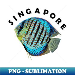 Singapore Blue Discus Fish  Symphysodon Cichlid  Cute Freshwater Aquarium Animal - Creative Sublimation PNG Download - Unleash Your Creativity