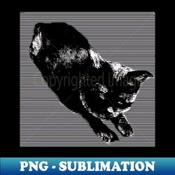 graphic black cat - exclusive sublimation digital file - stunning sublimation graphics