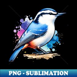 watercolor white breasted nuthatch 1 - high-quality png sublimation download