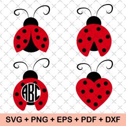 ladybug svg | ladybug bundle svg files | ladybug svg layered | ladybug files for cricut | ladybug clipart | lady bug svg