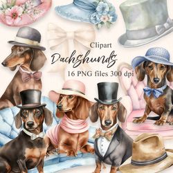 watercolor dachshund clipart | dogs illustration png