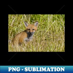 fox kit - premium sublimation digital download - spice up your sublimation projects