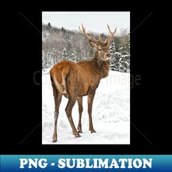 red deer - elegant sublimation png download - stunning sublimation graphics