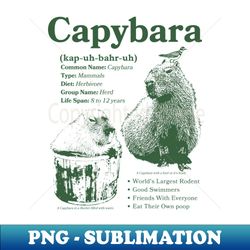 vintage capybara infographic - trendy sublimation digital download - bring your designs to life