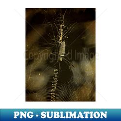 old print photo - spider - trendy sublimation digital download - revolutionize your designs
