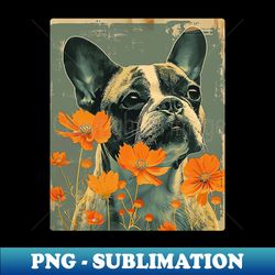 bulldog flowers photo art design for dog onwer - vintage sublimation png download