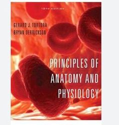 test bank for principles of anatomy and physiology, 12th edition by bryan derrickson, gerald tortora