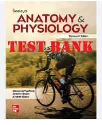 test bank for seeley's anatomy & physiology 13th edition