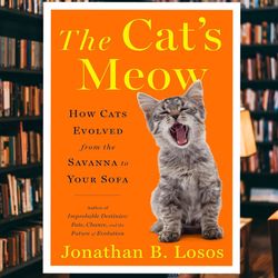 the cat's meow: how cats evolved from the savanna to your sofa