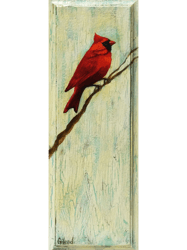 cardinal (5)