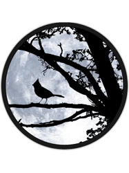 cardinal bird in front of the moon