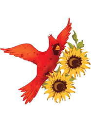sunflowers cardinal birds