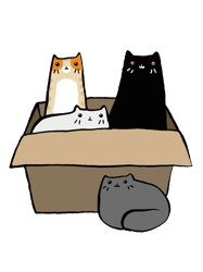 cats in a box