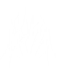 Arkham Metal Variant