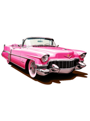 pink cadillac(20)