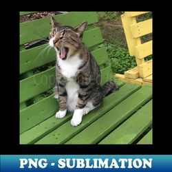 yawning cat on garden bench - vintage sublimation png download