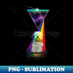 vintage retro prism coton de tulear - stylish sublimation digital download