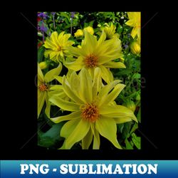 yellow bunch photography my - png transparent sublimation design