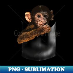 cute baby monkey in pocket lover of monkey - premium png sublimation file