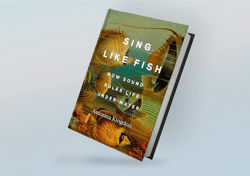sing like fish: how sound rules life under water by amorina kingdon