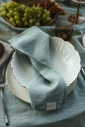 ocean mint linen napkin set of 2