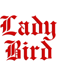 lady bird (8)