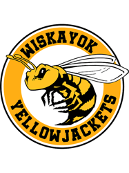 yellowjackets mascot logo