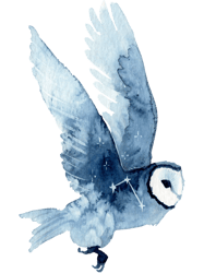 starry barn owl