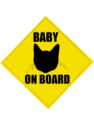 baby cat on board