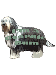 bearded collie bum