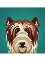 Bearded Collie Classic (4)