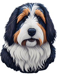 Bearded Collie Dog(4)