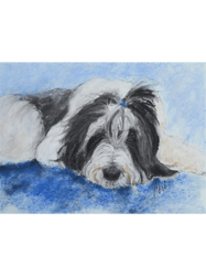 Bearded Collie Dog Art