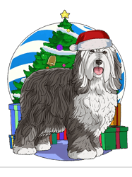 Bearded Collie Dog Christmas